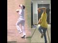 Kuldeep Yadav Bowling Copy 🔥 😎 || #shorts #cricket #youtubeshorts #shortsfeed