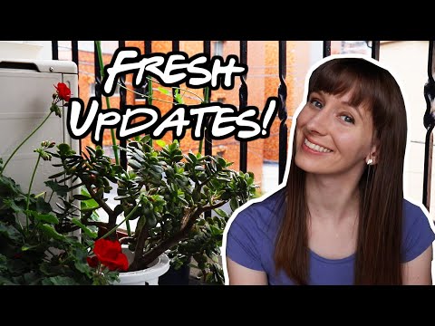 My Tokyo Apartment Plant Tour