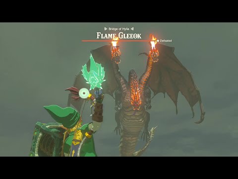 Fighting Gleeok With Sword Beams Like It's 1986 #totk