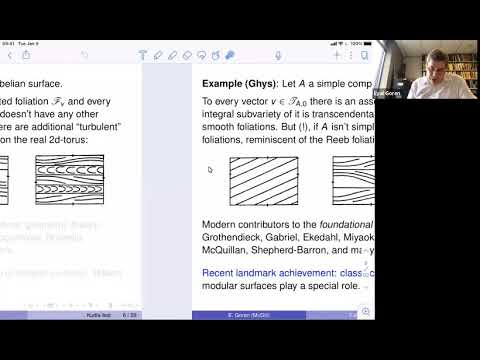 Foliations on Shimura varieties