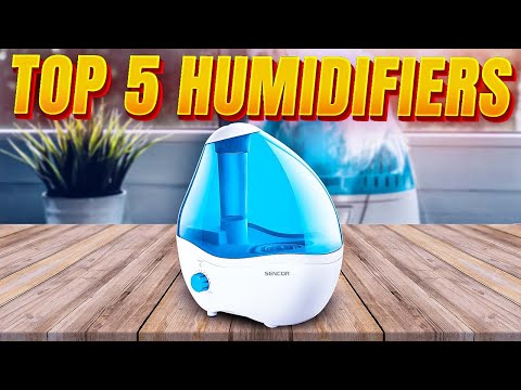 Top 5 Best Humidifiers | What is the Best Humidifier?