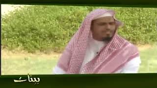 بينات 1428 22 تأملات في الجزء الثاني والعشرين من القرآن العظيم image