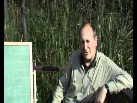 Erster Masuren-Hirsch liegt!