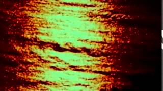 WHO LOVES THE SUN - VU COVER