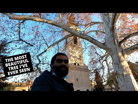 SERBIA'S PRETTIEST TOWN IS EMPTY? (Novi Sad to Sremski Karlovci)