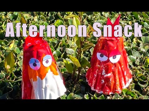 Childrens Television Shows | Afternoon Snack #1 | My Purple Fox