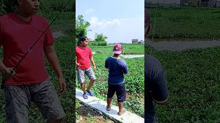Download lagu keseruan mancing di rawa kering #komedi #lucu #mancing mp3