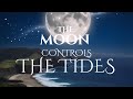 How the Moon Controls the Tides #gravity