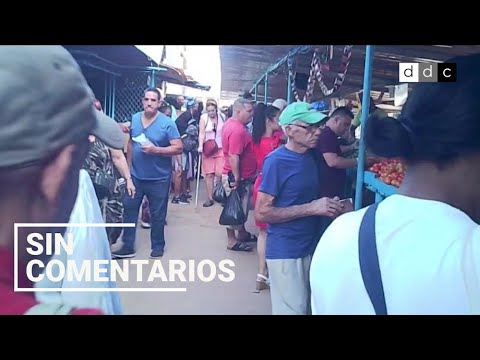 Cada vez menos cerdo y más caro: pocos cubanos podrán llevarlo a su mesa este fin de año