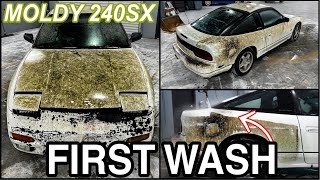 Disaster Barnyard Find | Extremely Moldy 240SX | First Wash Ever | Insane Car Detailing Restoration!