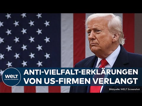 USA MACHEN DRUCK IN DEUTSCHLAND: Strenge DEI-Nachweise für Firmen mit US-Geschäften gefordert!
