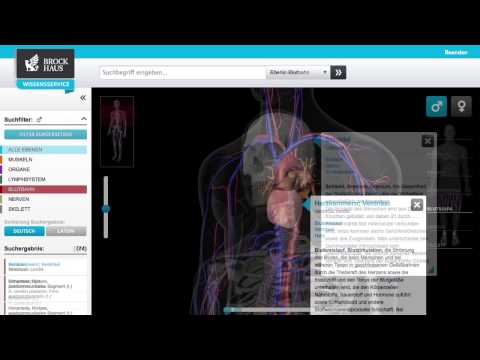 Der BROCKHAUS Wissensservice - Guided Tour