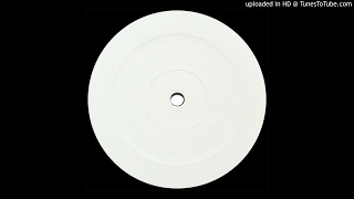 The Horrorist - One Night In NYC (Villalobos Remix) (Traumer Unofficial Edit)