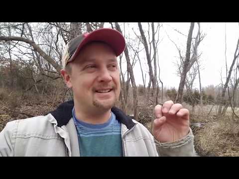 Witness21  2019 06 15