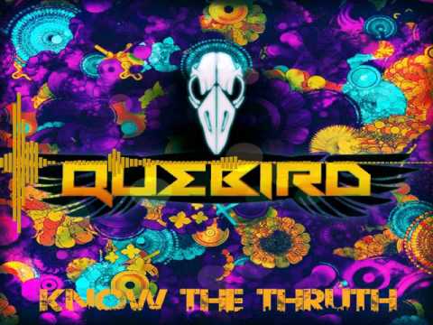 Quebird - Know The Truth mp3