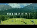 Baisaran Valley Trek | Solo Trek | Mini Switzerland of India | Pahalgam | Kashmir India