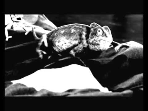 Style Booa Music Video