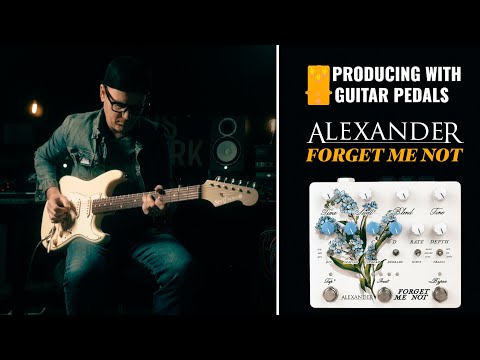 Alexander Pedals Forget Me Not Stereo Multi-Tap Delay Pedal image 3