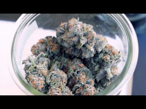 Jai Swift | "My Circle" (Music Video) | Dir Affluent Films | prod Jai Swift #BackwoodBullies