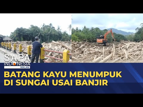 Kayu Gelondongan Menumpuk di Sungai usai Banjir Sumatera | SAPA MALAM