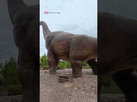 Gondava - El gran valle de los dinosaurios - Sáchica- Boyacá #gondava #sáchica #colombia #boyacá