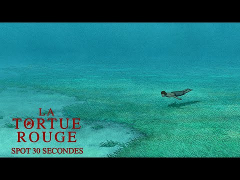 LA TORTUE ROUGE - Spot 30 secondes - Actuellement au cinéma