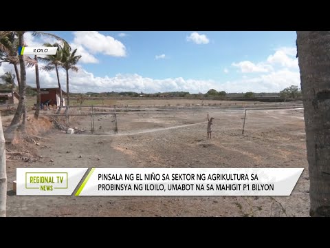 Regional TV News: Mahigit P1 billion ang pinsala sa agrikultura sa probinsya ng Iloilo