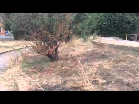 Municipio Roma V - quartiere alessandrino