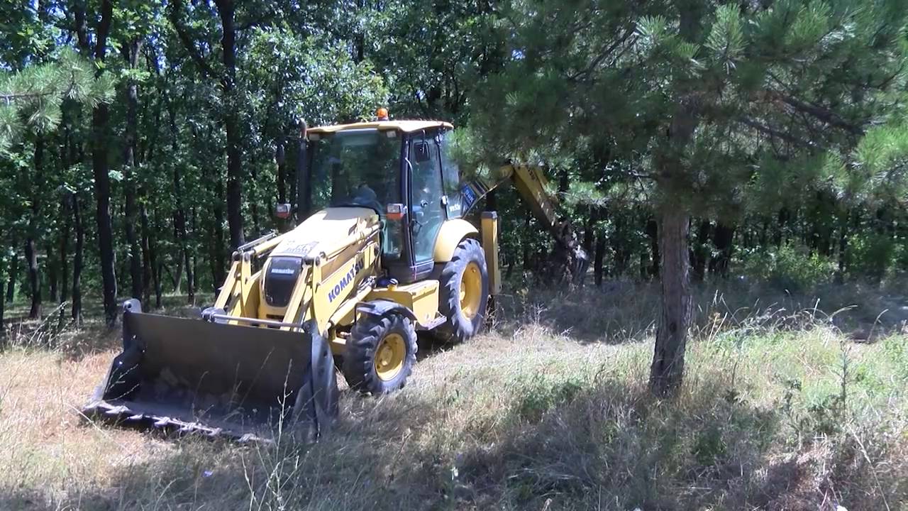 Просеки ще предпазват гората край международният път Е-80 от незаконната сеч