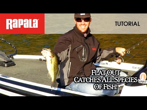 The Rapala® Shad Rap®: HOW TO FISH