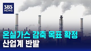 2035 온실가스 감축 목표 확정…'탄소값'도 올린다 / SBS
