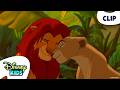 Simba And Nala Reunite ️ The Lion King Disneykids