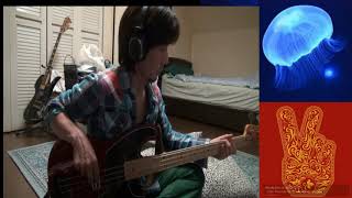Stone Temple Pilots - Bagman(bass cover)
