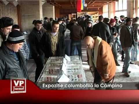 Expoziţie columbofilă la Câmpina