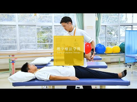 看護学科 埼玉医科大学 保健医療学部 School Guide 理学療法学科 学科紹介3
