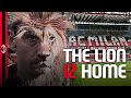 Ibrahimović | The Lion IZ Home