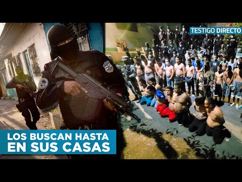 The Downfall of El Salvador's Gang Members: Did They Surrender Everything in 2023?