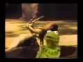 Sesame Street Kermit S Lecture Horns