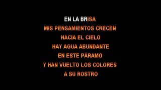 Radio Futura   Lluvia Del Porvenir