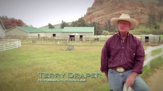 Horseback Miracles Short