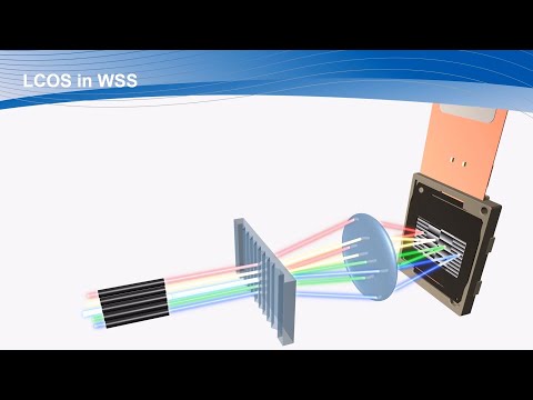 LCOS for WSS