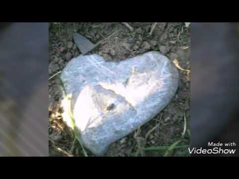 Šain Amzić samac u braku