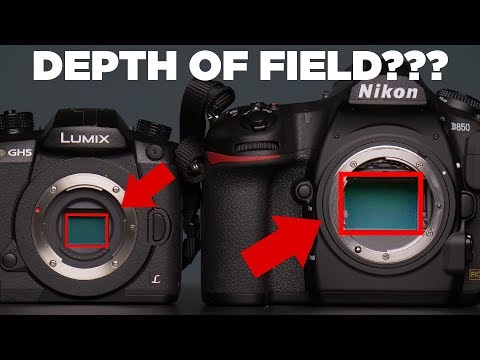 No, Larger Sensors Do Not Produce Shallower Depth of Field