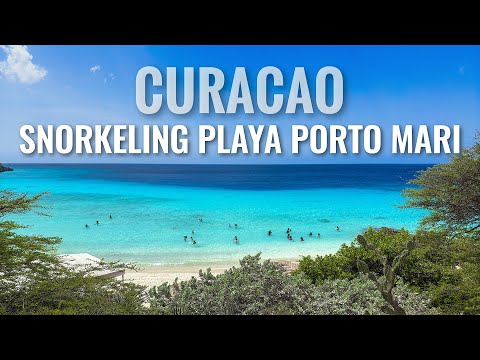 CURACAO Snorkeling Playa Porto Mari [4K]