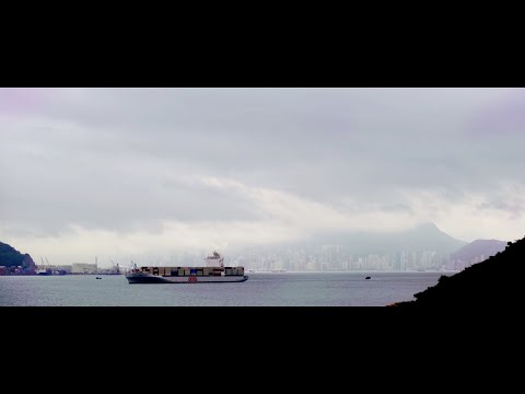 Wanderer (feat. Dear Gravity) Music Video by Salt Of The Sound