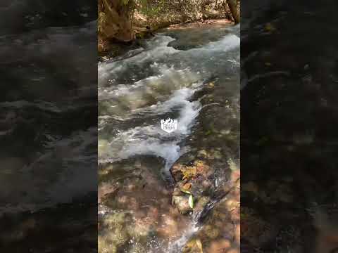 Cachoeira de Miravânia