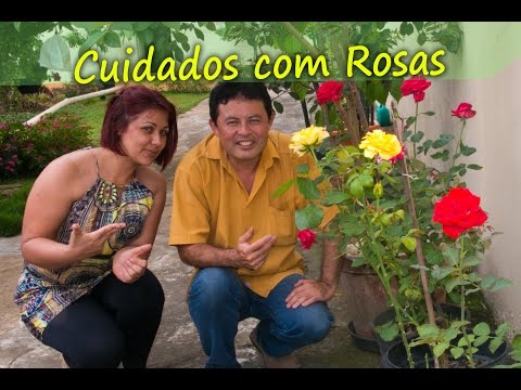 , title : 'Rosas , dicas e cuidados simples para suas Roseiras, Jardinagem e estilo de vida'