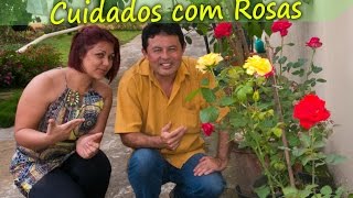 Rosas , dicas e cuidados simples para suas Roseiras, Jardinagem e estilo de vida