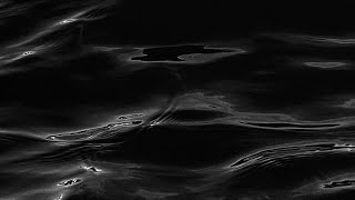 BLACK LABEL SOCIETY/ BLACKENED WATERS
