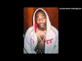 World Wide Terrorism Continues Mixtape Vol 2 Return Of The Mercenary M C V A E